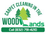 Carpet Cleaning in The Woodlands